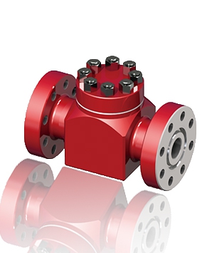 Check valve